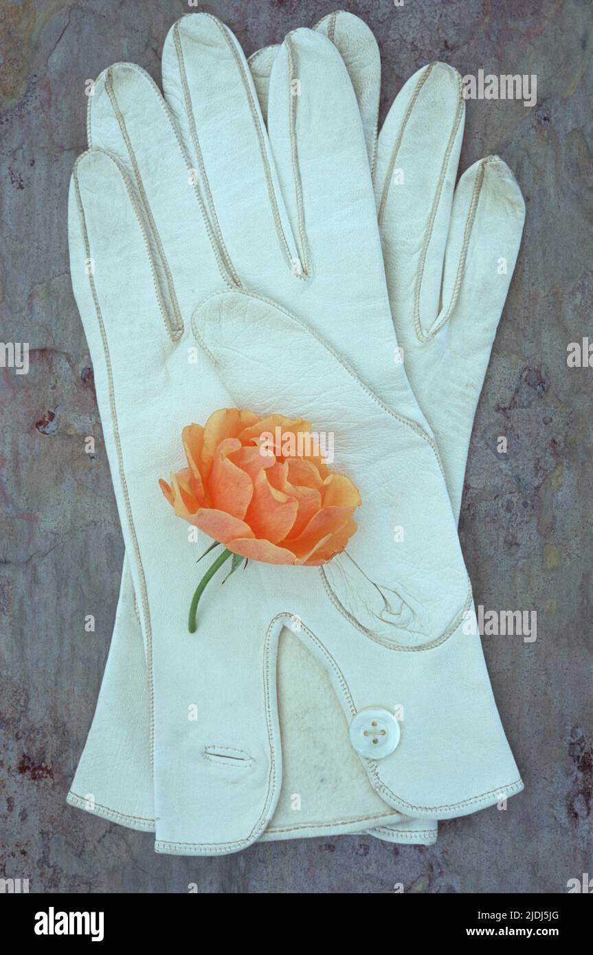 Damen-Handschuhe aus weichem, weißem Leder mit Perlmutt-Knöpfen auf Marmorstein mit blassoranger Rose Stockfoto