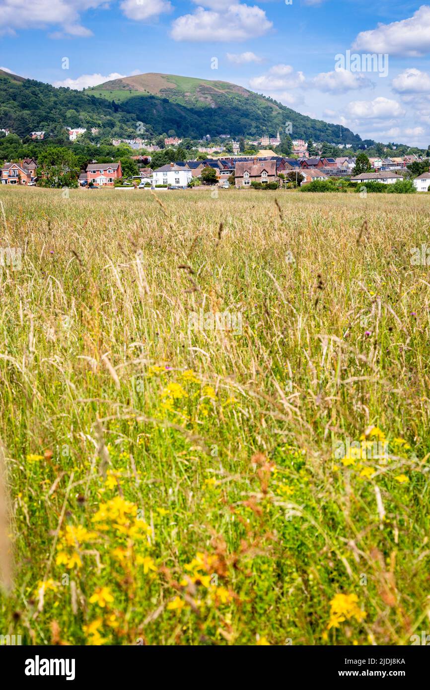 Die Malvern Hills und Häuser von Great Malvern von Südosten aus gesehen, Worcestershire, UK 2022 Stockfoto