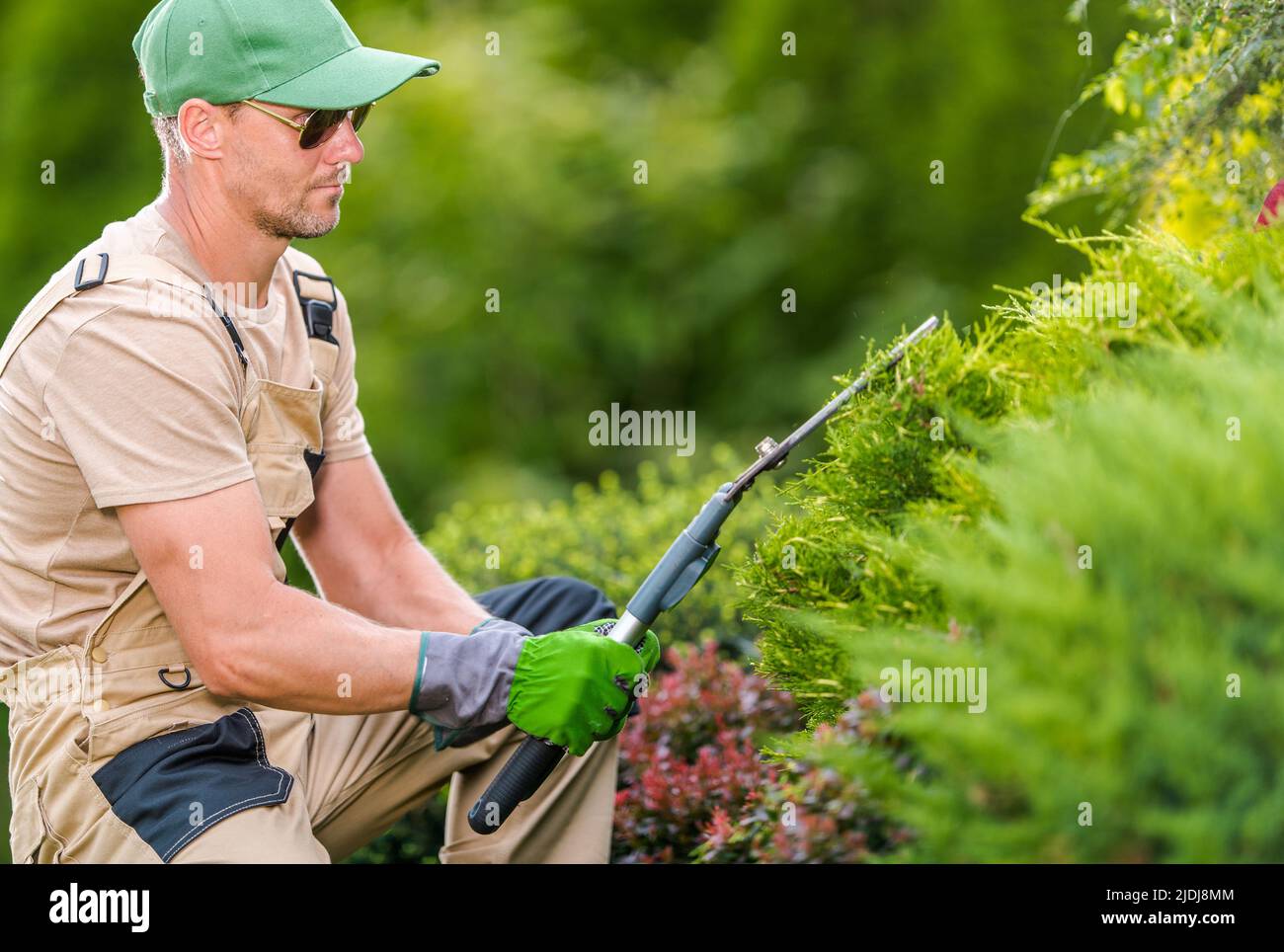 Nahaufnahme des männlichen kaukasischen Gärtners bei seiner 40s trägt Sonnenbrille und Green Cap genießen den Prozess der Bepflanzung von Pflanzen mit Professional Garden Scisso Stockfoto