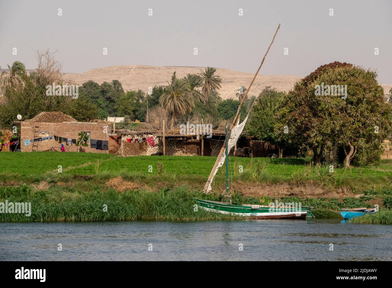 Eine traditionelle Felucca, die im Schilf am Ufer des Nils mit Vegetation und heimischen Szenen im Hintergrund festgemacht ist Stockfoto