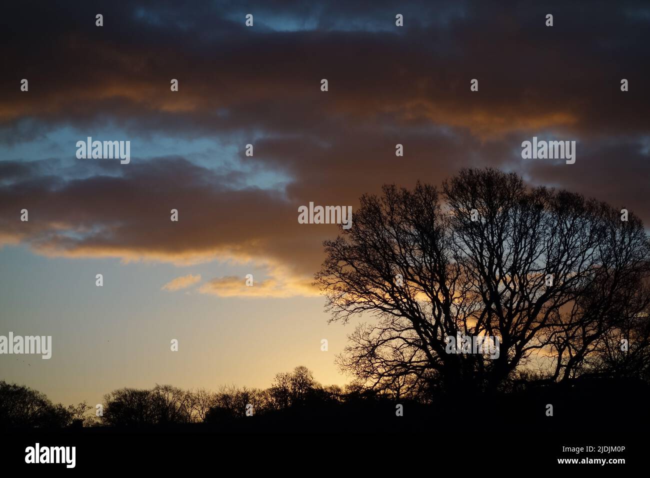 Wintersonne steigt hinter dem Baum und durch die Wolken Stockfoto