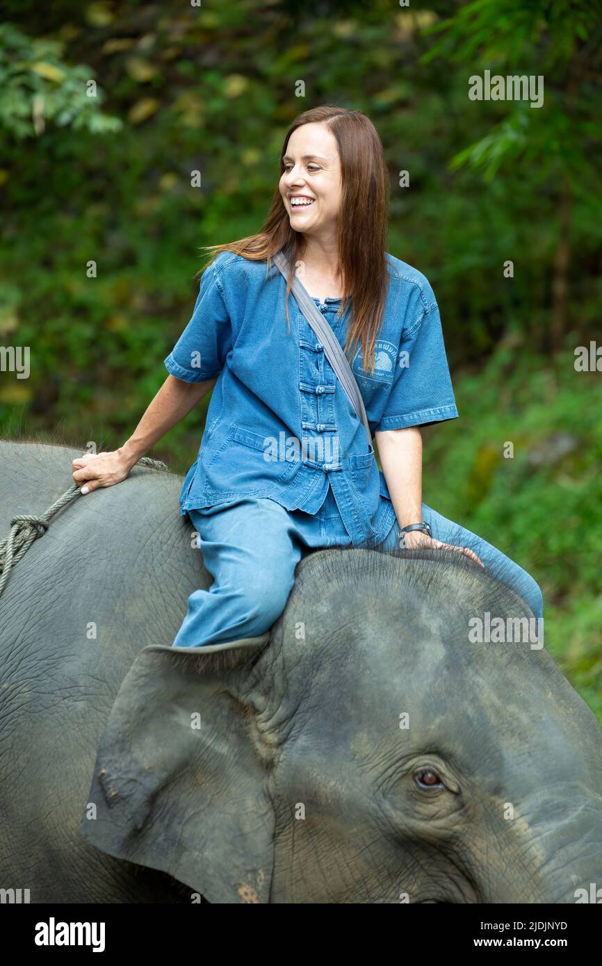 Frau, die auf einem asiatischen Elefanten (Elephas maximus) auf einem Dschungelpfad reitet, Thai Elephant Home Elephant Farm, Keudchang Maetang, Chiang Mai, Thailand Stockfoto