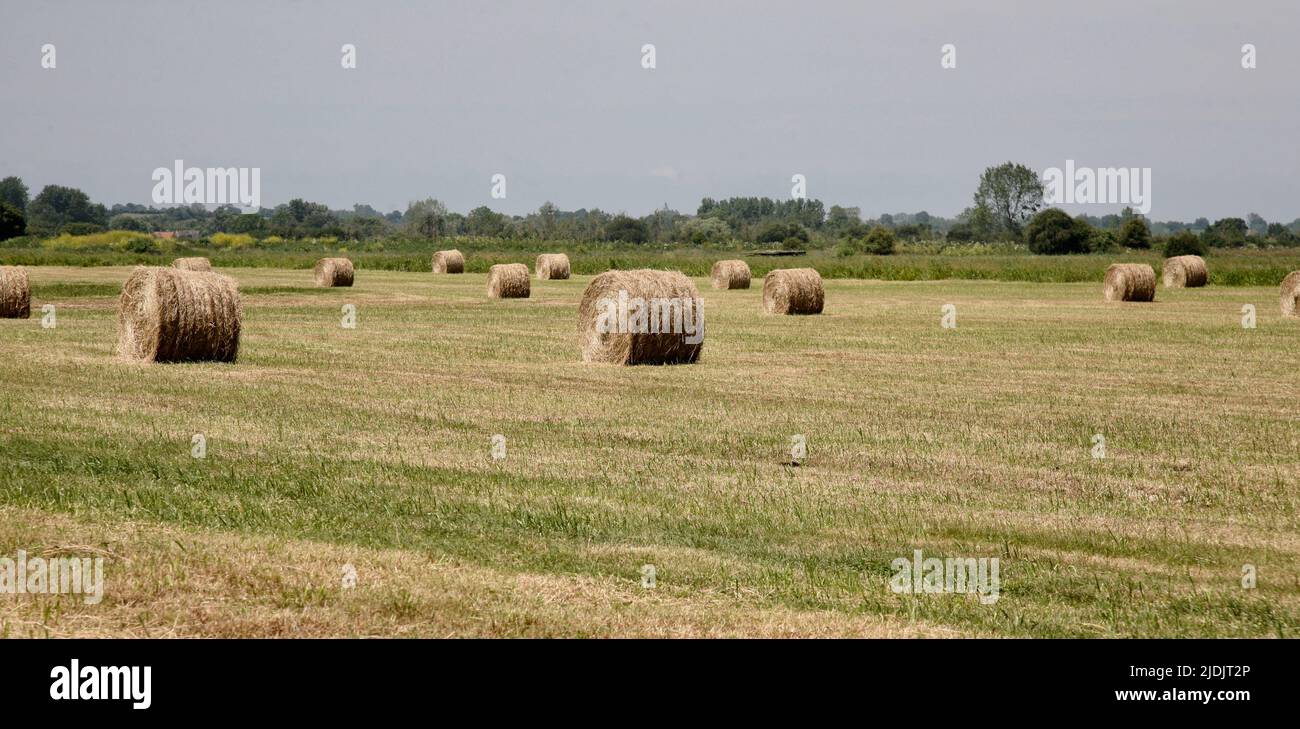 Ein Feld voller Hay-Ballen in der französischen Landschaft Stockfoto