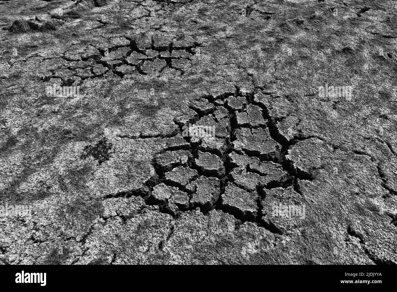 Niedriger Wasserstand (im Sommer konstant niedriger Wasserstand). Die Erde riß, als das Wasser aus dem Stausee verschwand, Sommertrockenheit, Trockenteich (Fluss) Stockfoto