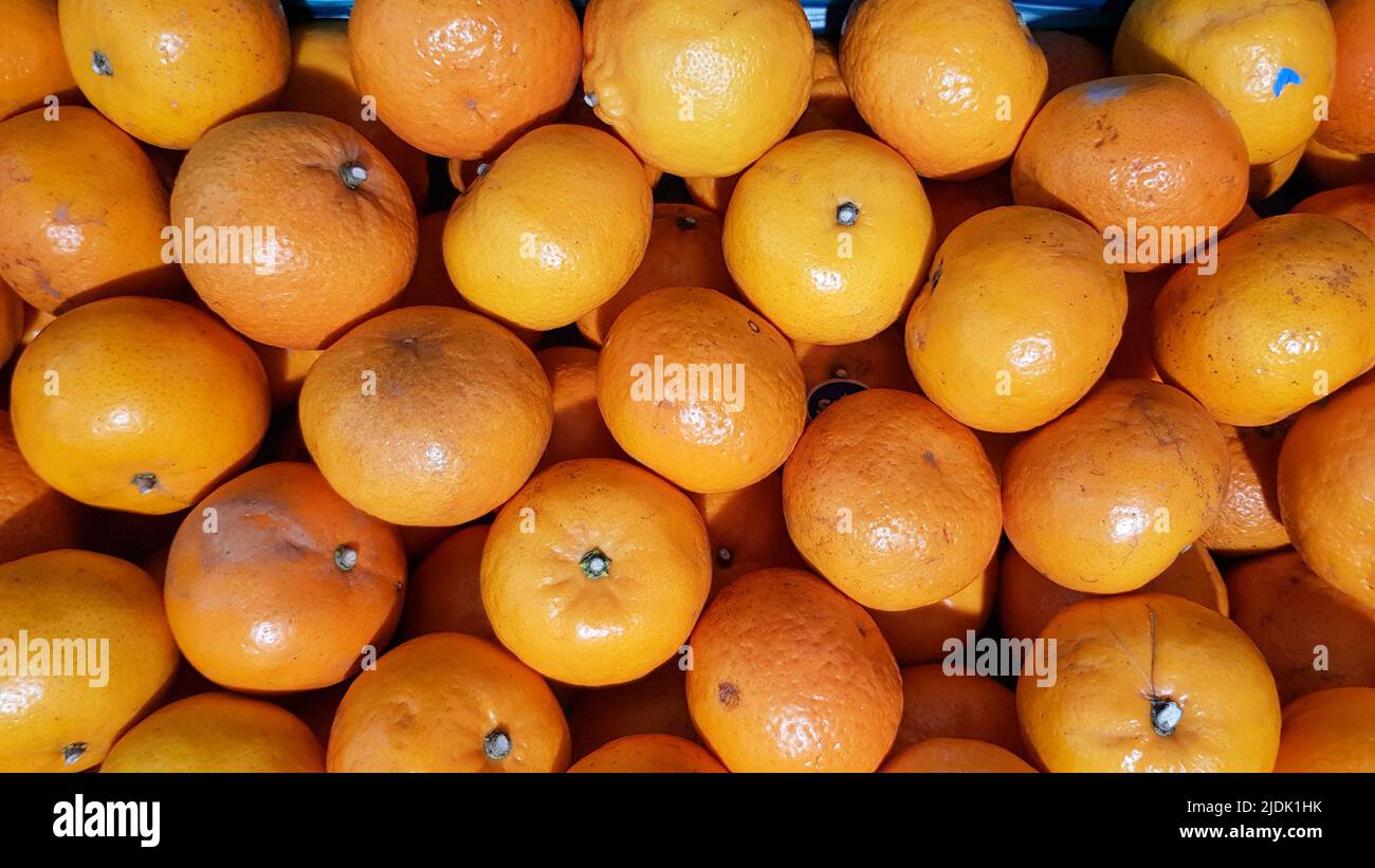 Viele Orangen werden in Tabletts zum Verkauf an Kunden platziert. In einem Geschäft in Thailand Stockfoto