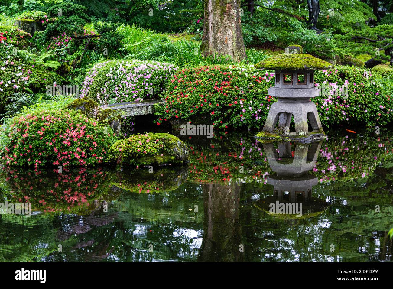 Unrei-an ist ein japanischer Garten, der auf dem Gelände der Aizu Homare Shuzo Sake Brennerei gefunden wurde. Der Garten wurde während der Showa-Zeit angelegt. Dieses g Stockfoto