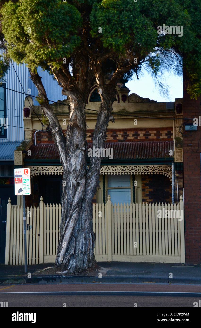 Das viktorianische Arbeiterhaus mit einer Fassade und verzierten Ziegelsteinen ist ein gemeinsames Merkmal der Architektur in Melbournes Innenvororten, z. B. Collingwood Stockfoto
