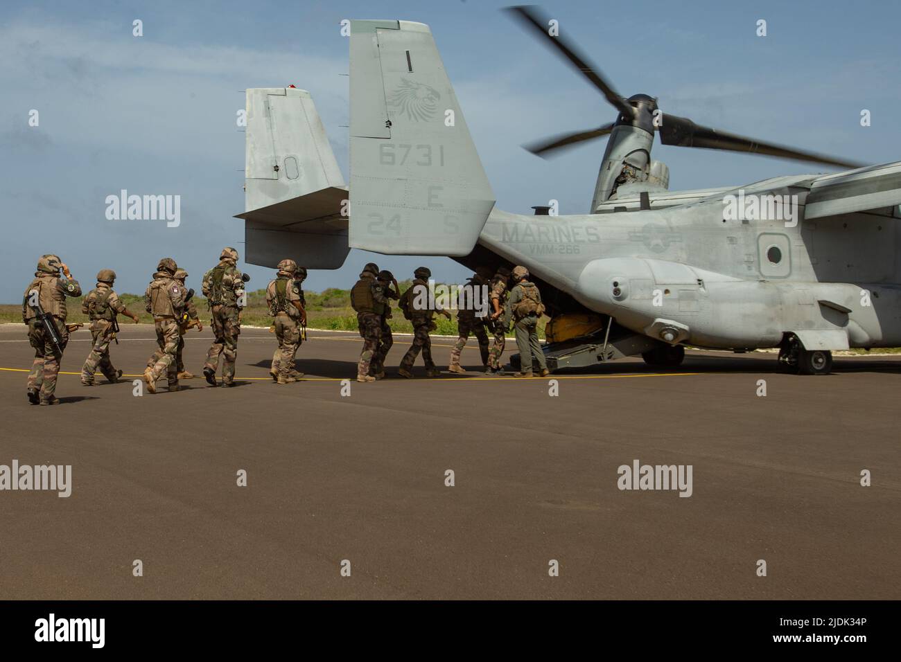 Mitglieder der französischen Streitkräfte besteigen einen MV-22B-Fischadler, der während der französisch-karibischen Übung Caraibes 22 in Guadeloupe am 15. Juni 2022 dem Marine Medium Tiltrotor Squadron (VMM) 266 zugewiesen wurde. Caraibes 22 ist eine von Frankreich geleitete, groß angelegte, gemeinsame Trainingsübung in der Karibik, bei der Marine-, Luft- und Landgüter von französischen, US-amerikanischen und regionalen Kräften eingesetzt werden, die sich auf die Reaktion auf simulierte Naturkatastrophen konzentrieren. VMM-266 ist eine untergeordnete Einheit zum 2. Marine Aircraft Wing, dem Luftkampfelement der II Marine Expeditionary Force. (USA Marine Corps Foto von CPL. Caleb Stelter) Stockfoto