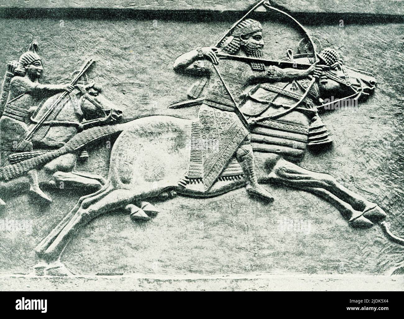 Dieses Bild aus dem Jahr 1910 zeigt die Jagd eines assyrischen Königs. Das Steinrelief befindet sich im British Museum in London. Hier galoppiert der König Aschurbanipal vorwärts und schießt auf wilde Esel. Einer der Reiter hinter ihm hat Ersatzpfeile und der andere eine Ersatzhalterung. Esel werden von Hunden geschossen oder heruntergezogen. Ashurbanipal regierte 600s v. Chr.. Das Datum dieses Reliefs, das am Nordpalast in Ninive aufgedeckt wurde, ist 645-635 v. Chr. Stockfoto