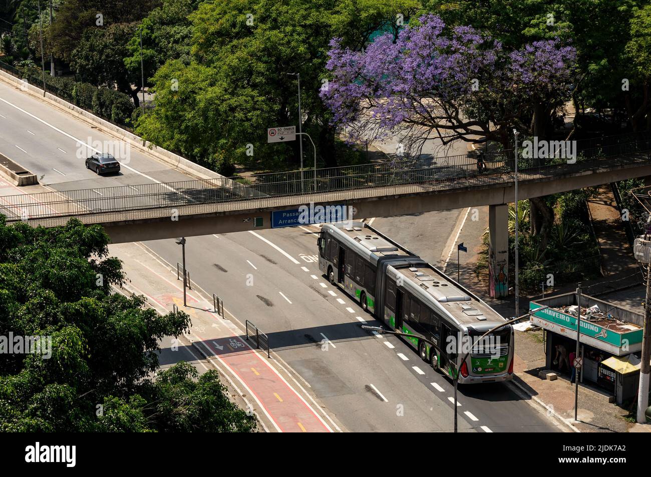 Ein artikulierter Stadtbus, der an einem sonnigen Tag in seiner Busspur an der Antartica Avenue unter der Fußgängerbrücke Palmeiras Arrancada Heroica 1942 vorbeifährt. Stockfoto