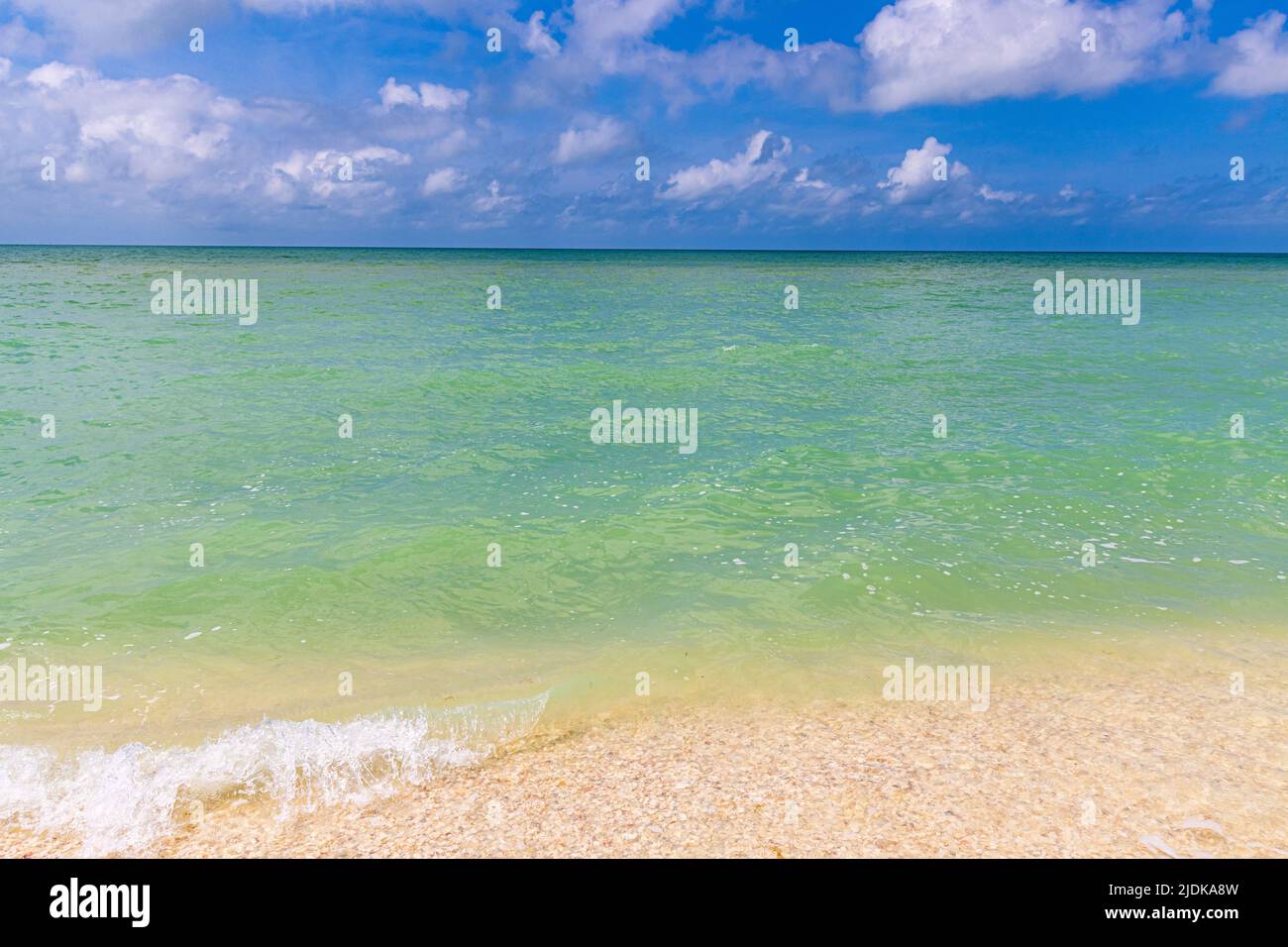 Die wunderschönen Farben des Golfs von Mexiko und Bowmans Beach, Sanibel Island, Florida, USA Stockfoto