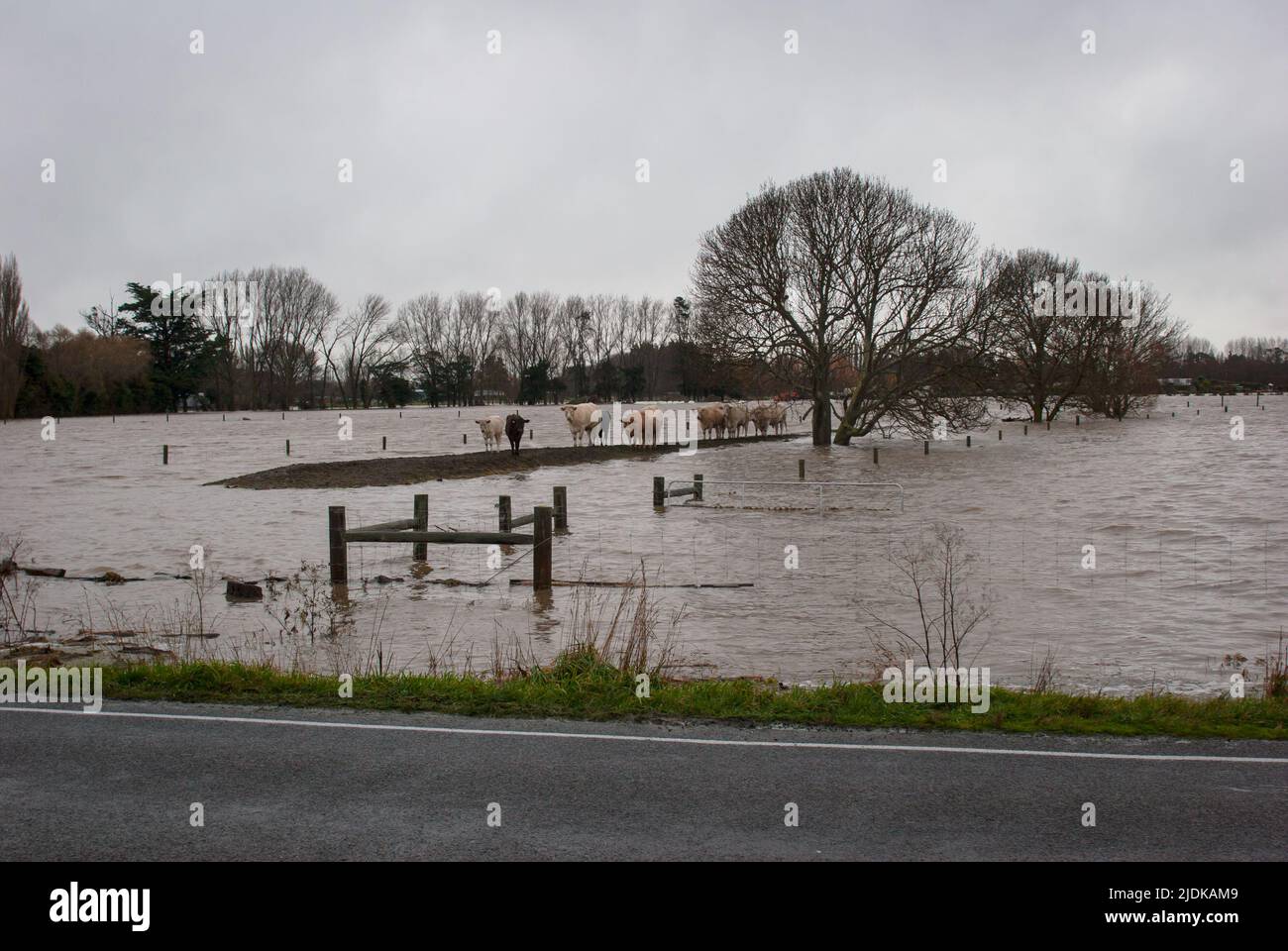Ein Blick auf das Leben in Neuseeland: Überschwemmungen rund um die Stadt Kaiapoi: Juli 2008. Stockfoto