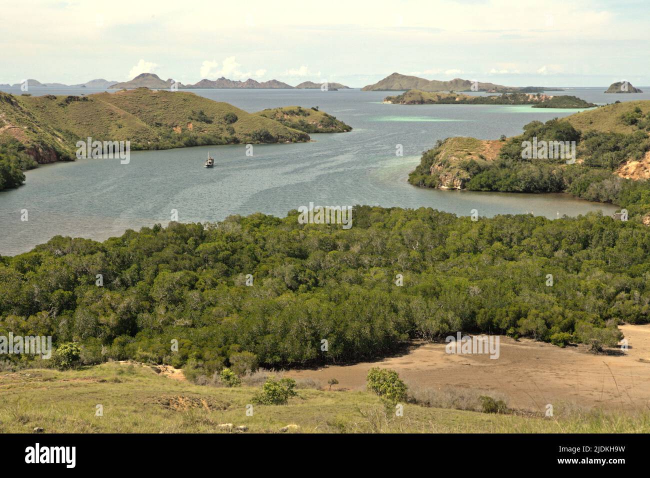 Landschaft der Rinca-Insel, einem Teil des Komodo-Nationalparks, der ein natürlicher Lebensraum für den komodo-Drachen (Varanus komodoensis) in West Manggarai, Ost-Nusa Tenggara, Indonesien ist. Komodo-Drachen sind auf den Inseln Komodo, Rinca, Nusa Kode und Gili Motang endemisch – laut dem Komodo-Überlebensprogramm befinden sich alle im Komodo-Nationalpark. Padar Island, ebenfalls im Parkgebiet, war ein natürlicher Lebensraum, aber eine Umfrage dort im Jahr 1998 versagte, dass keine Anzeichen von komodo-Drachen gefunden wurden, so Tim S. Jessop von der Deakin University in einem Artikel mit dem Titel „Varanus komodoensis (komodo Dragon) Vorkommen im Januar 2008 Stockfoto