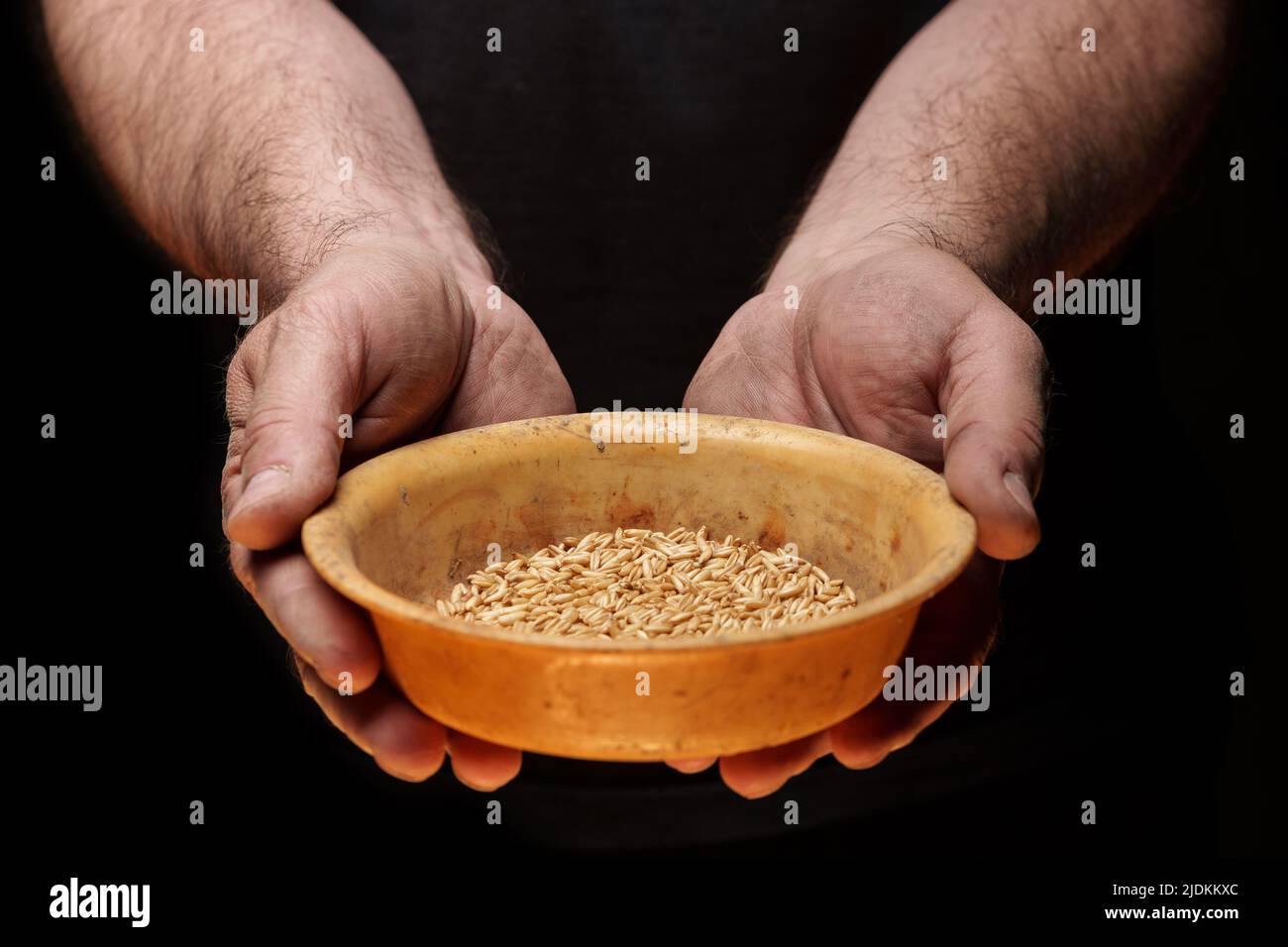 Nahaufnahme der männlichen Hände, die eine kleine Menge Weizenkerne halten. Mangel an Nahrung und Hunger-Konzept Stockfoto