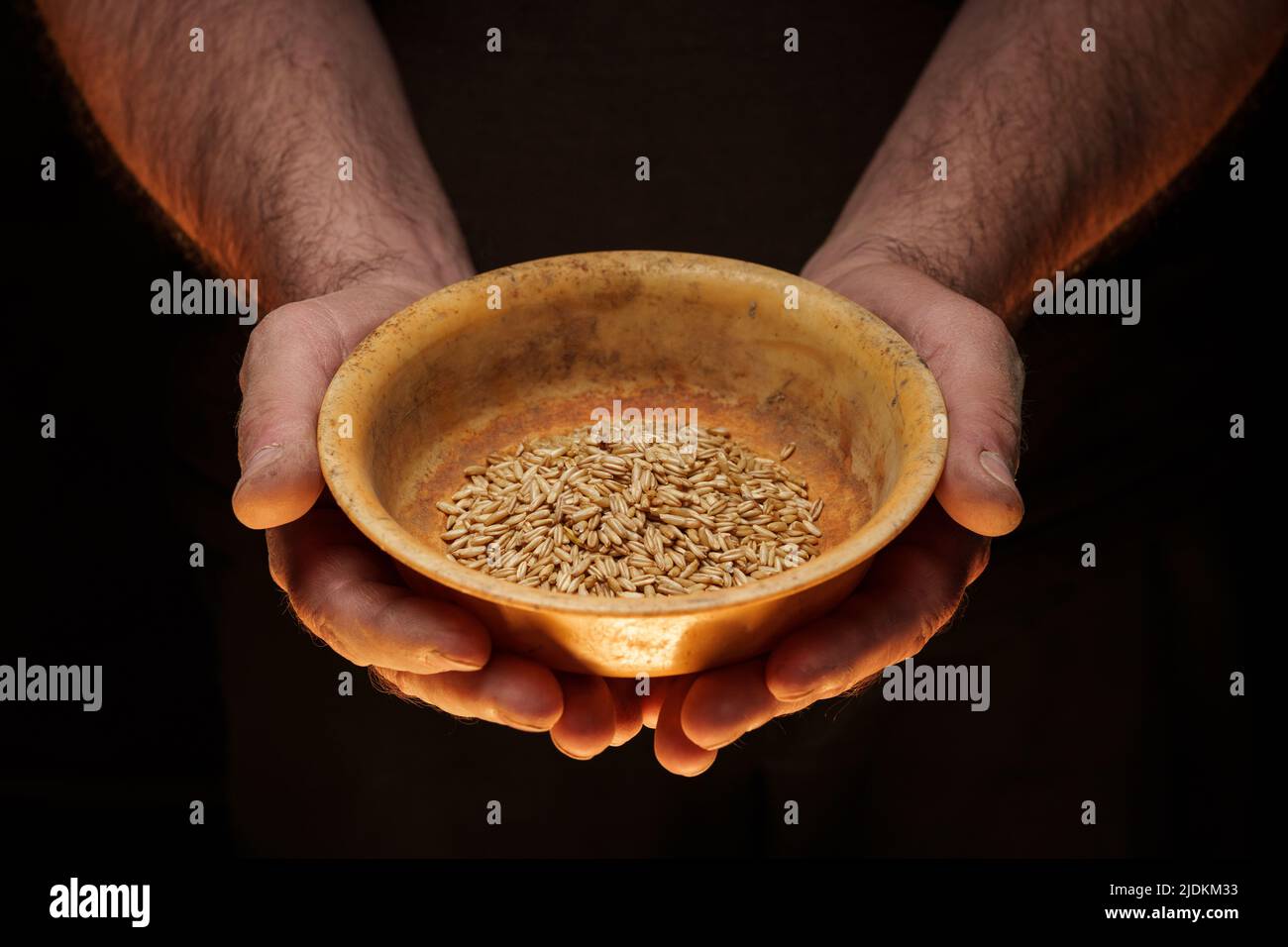 Nahaufnahme der männlichen Hände, die eine kleine Menge Weizenkerne halten. Mangel an Nahrung und Hunger-Konzept Stockfoto