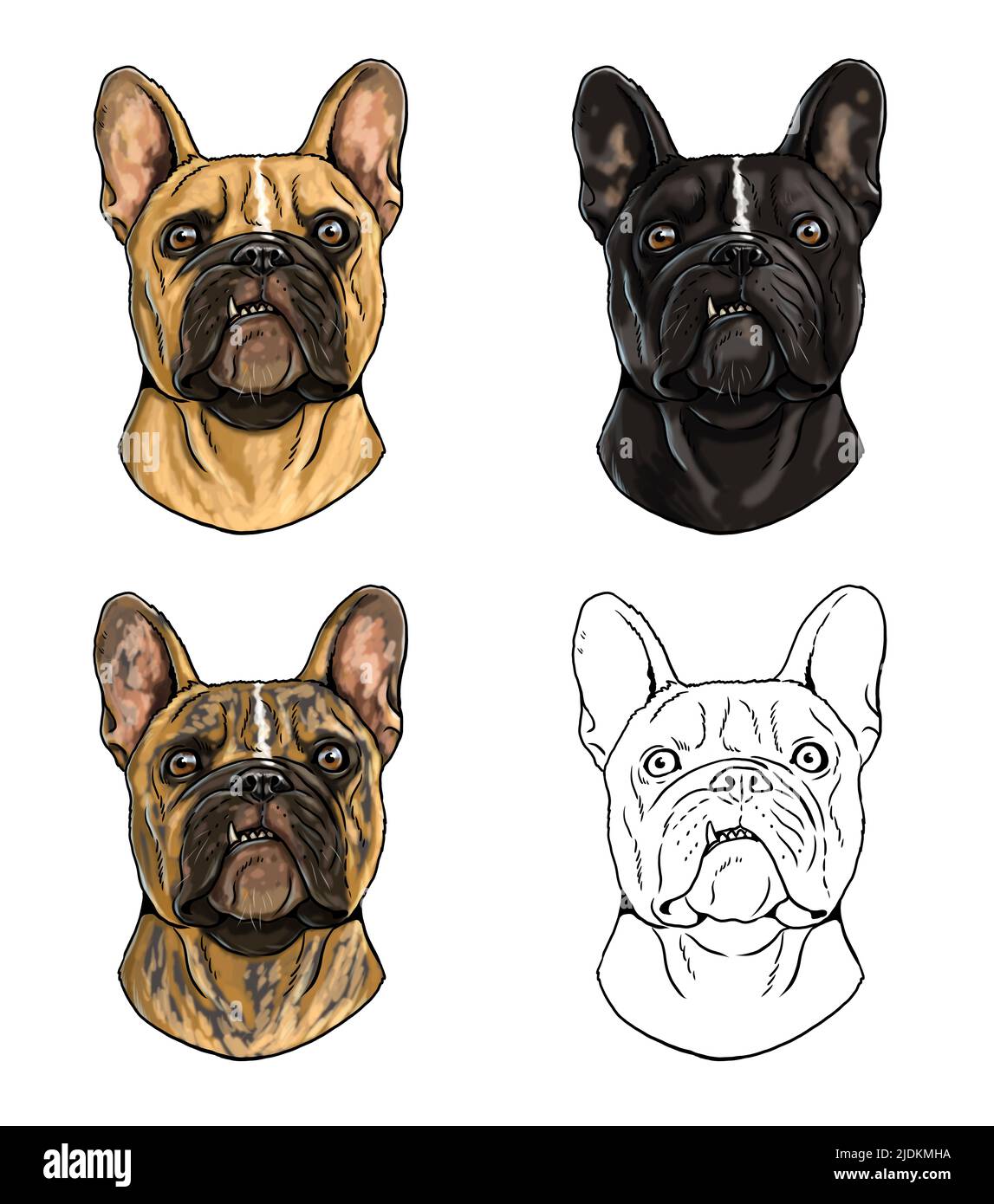Niedliche französisch Bulldogge Zeichnung. Isolierte Illustration mit dem süßen Hund. Verschiedene Pelzmuster der französischen Bulldogge. Stockfoto