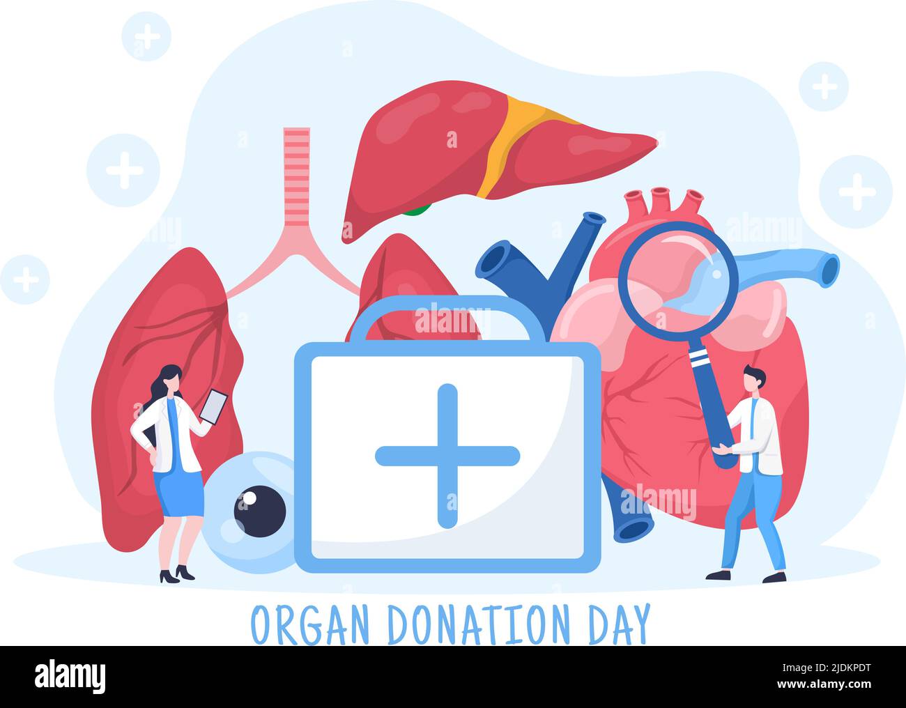 Welttag der Organspende mit Nieren, Herz, Lunge, Augen oder Leber zur Transplantation, Rettung von Leben und Gesundheitsversorgung in flacher Cartoon-Illustration Stock Vektor