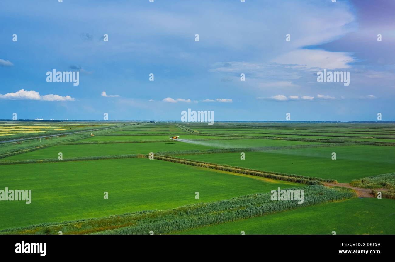Die Ansicht vom Kopter zur Ebene verarbeitet die Felder Stockfoto