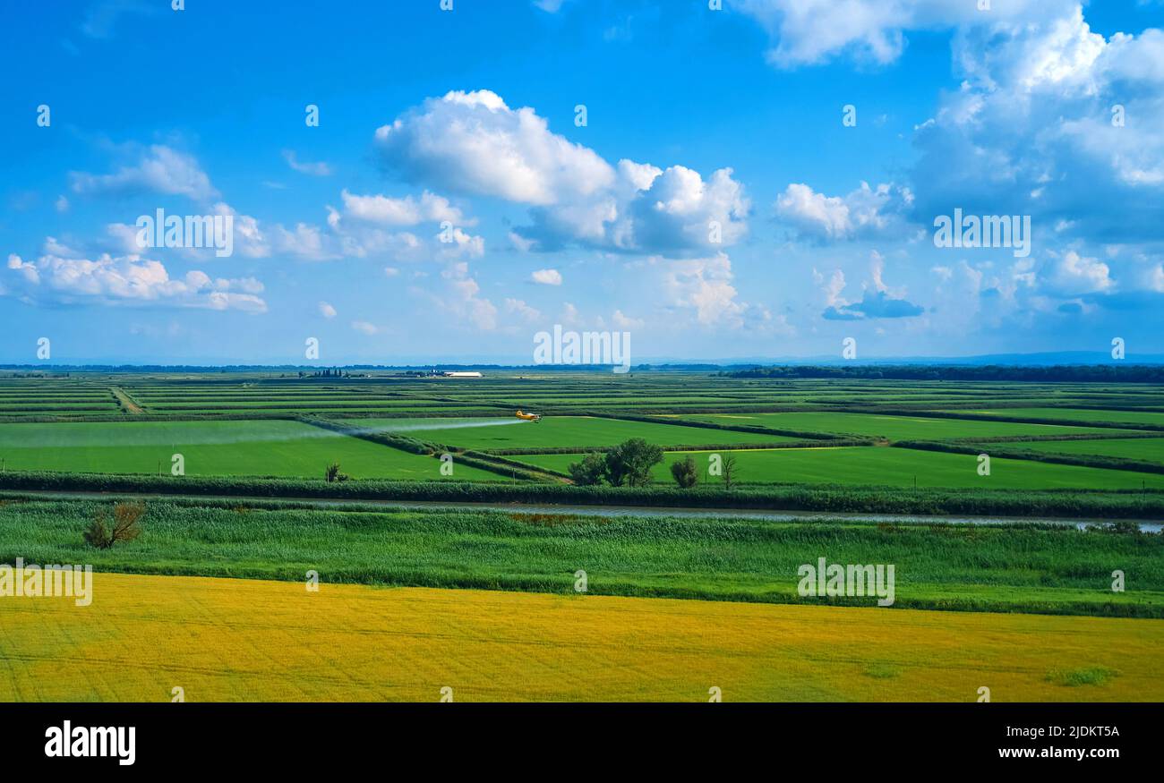 Die Ansicht vom Kopter zur Ebene verarbeitet die Felder Stockfoto