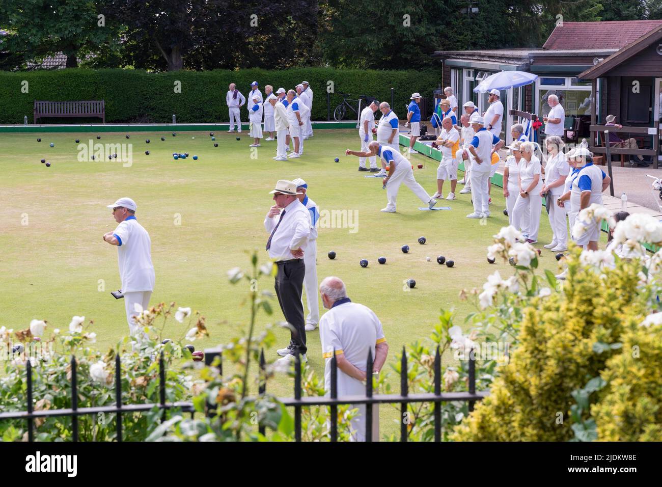 Tankerton Rasen Bowling Club mit einem Freundschaftsspiel mit Watford Team in einem heißen Sommer Sonntag Kent England Großbritannien Stockfoto