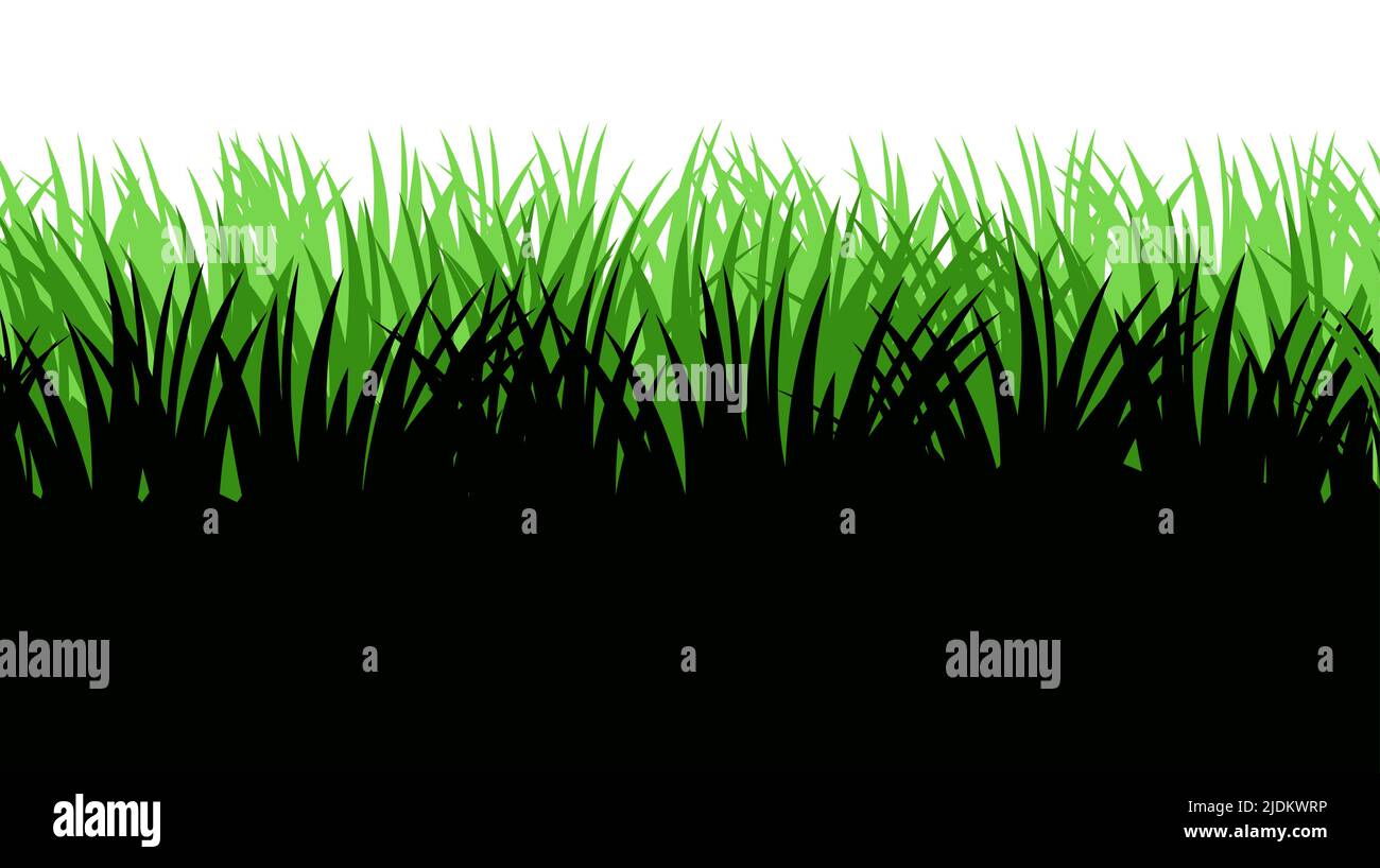 Gras. Natur ländliche Landschaft. Die Weide ist überwuchert. Überwucherter dichter Rasen. Isoliert auf weißem Hintergrund. Vektor Stock Vektor