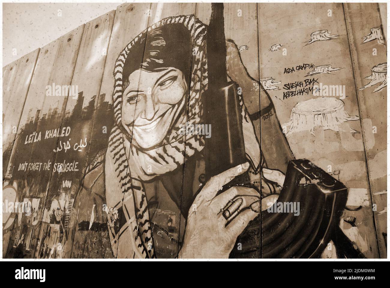 Leila Khaled Graffiti auf der Barriere des israelischen Westjordanlandes in der Nähe von Bethlehem. Die israelische Westbank-Barriere ist eine Sicherheits- und Trennungsbarriere zwischen den Stockfoto