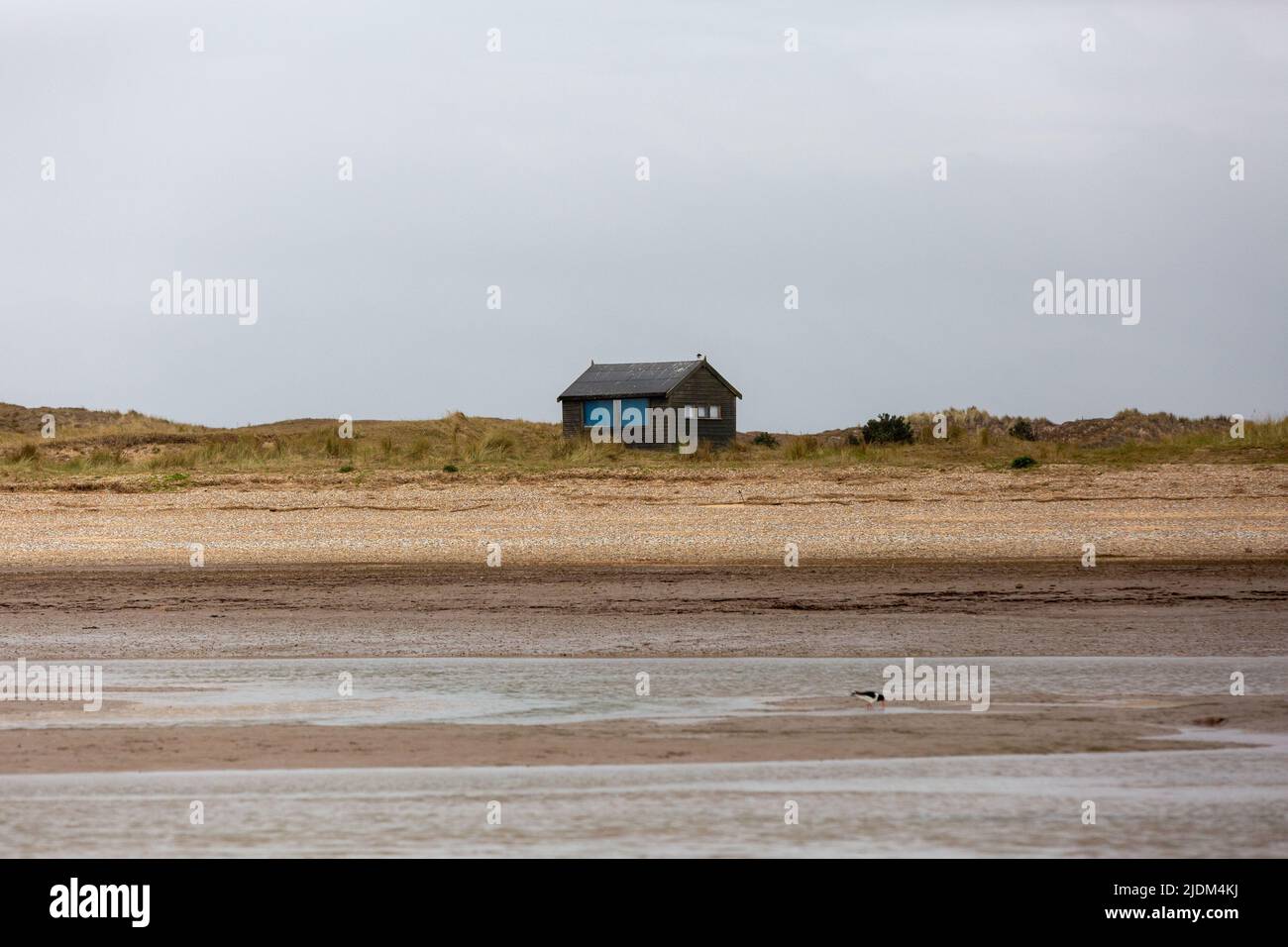 Blakeney Point, North Morfolk, Großbritannien Stockfoto