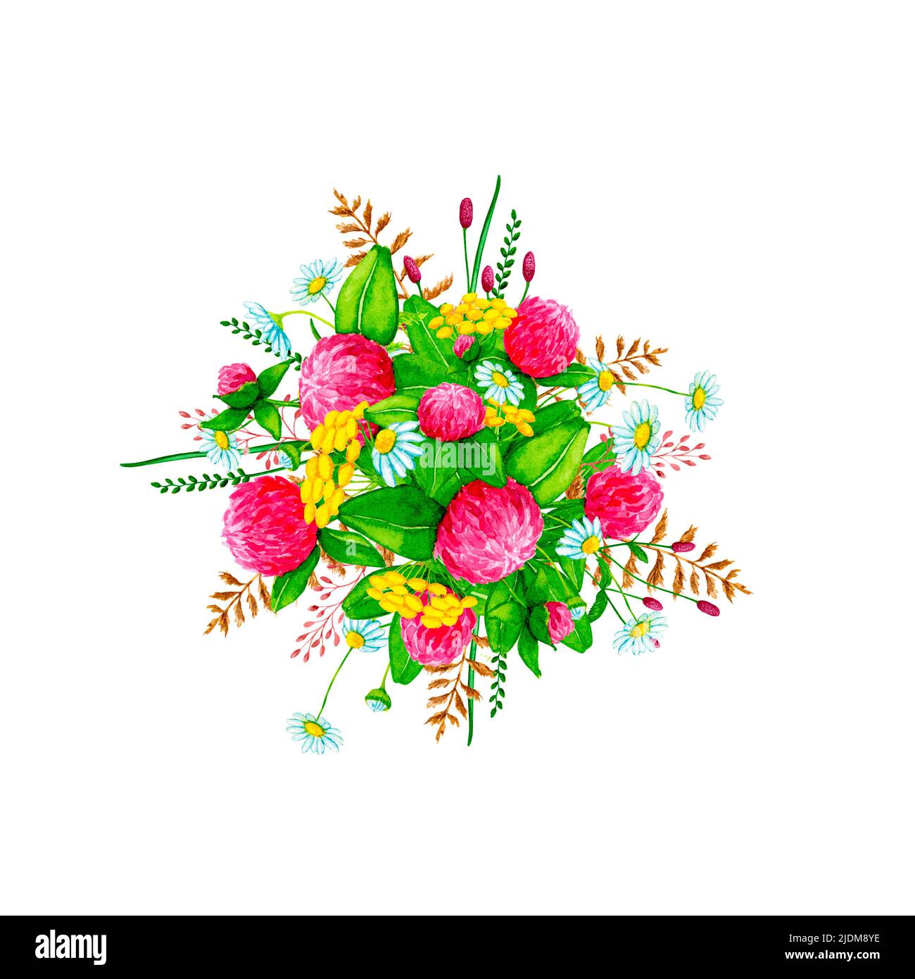 Bouquet von bunten Feldblumen. Handgezeichneter Clipart mit Aquarellfarben. Designelemente für Karten, Einladungen, Poster, Stoffdrucke, Muster. Stockfoto