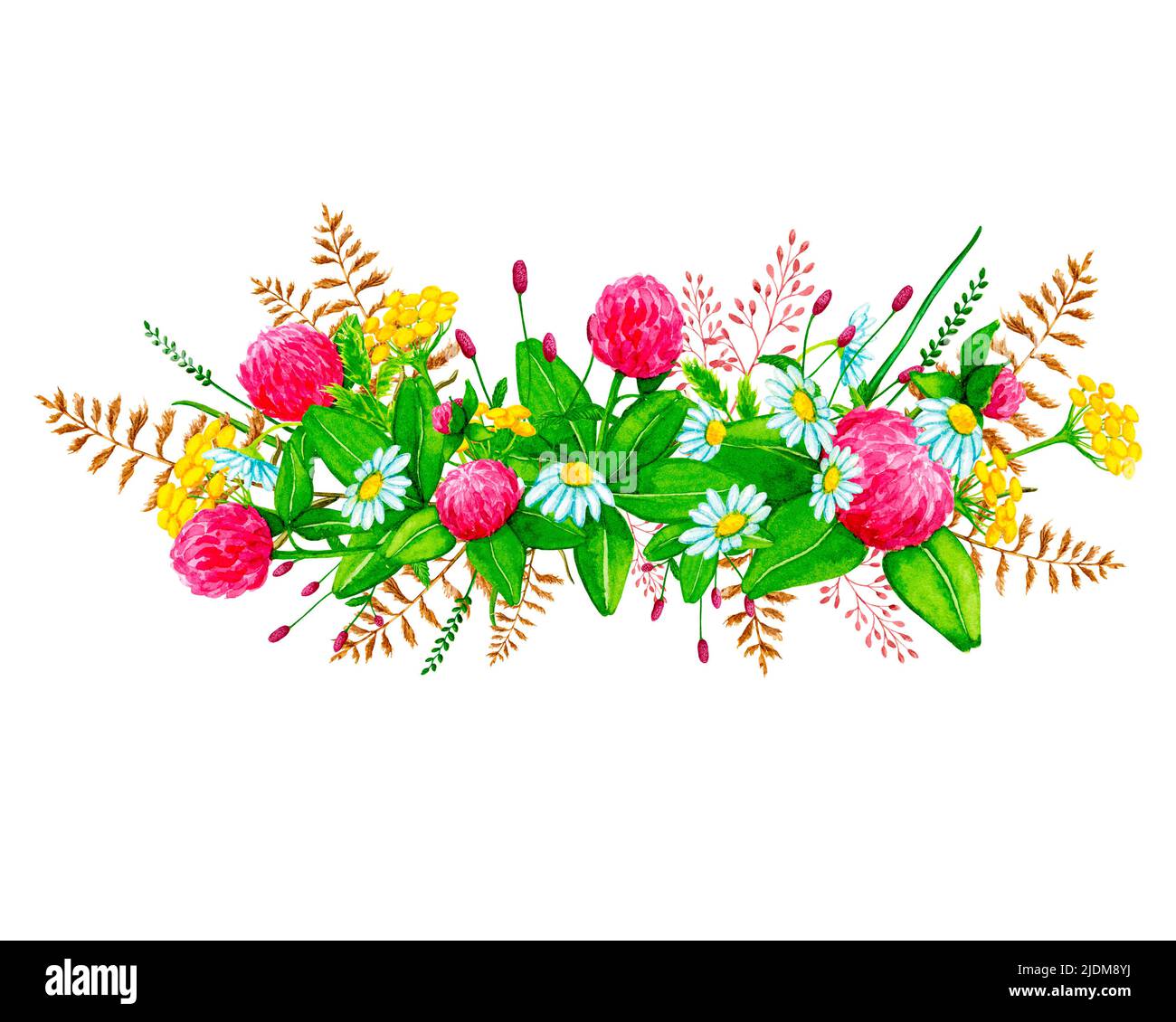 Aquarell-Vignette aus Wildblumen und wilden Kräutern. Handgezeichneter Clipart mit Aquarellfarben. Gestaltungselement für Karten, Einladungen, Poster, Stoffdrucke. Stockfoto