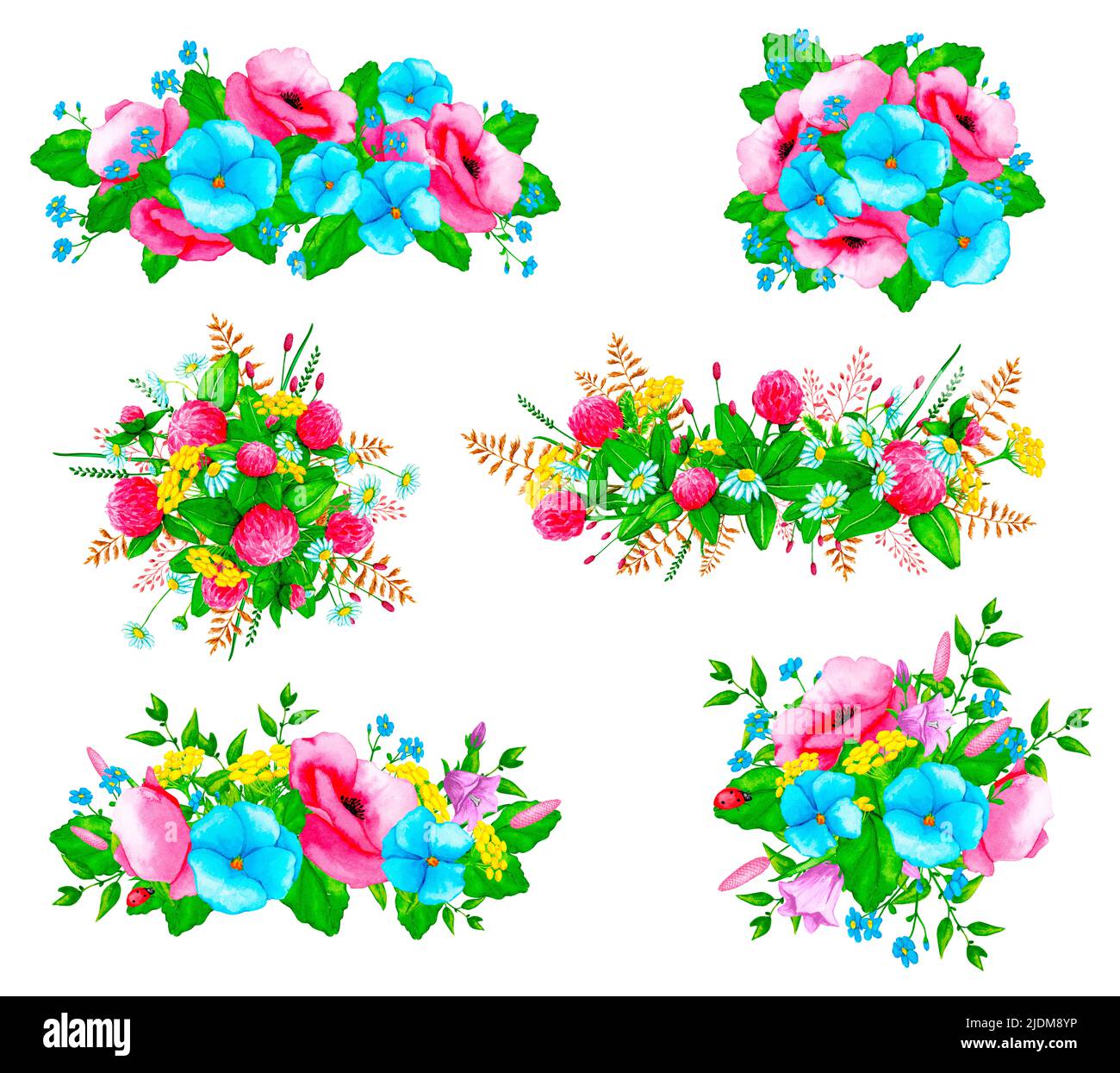 Eine Reihe von Aquarellkompositionen mit Wildblumen und wilden Kräutern. Gestaltungselement für Karten, Einladungen, Poster, Stoffdrucke, Muster, Schreibwaren. Stockfoto
