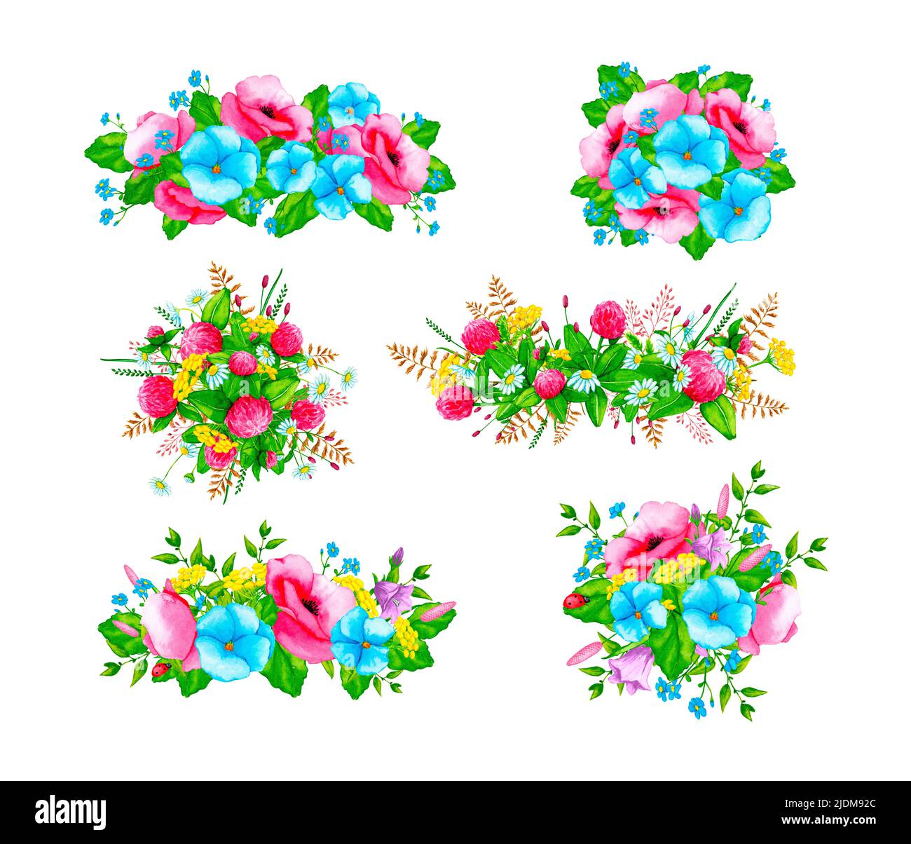 Eine Reihe von Aquarellkompositionen mit Wildblumen und wilden Kräutern. Gestaltungselement für Karten, Einladungen, Poster, Stoffdrucke, Muster, Schreibwaren. Stockfoto