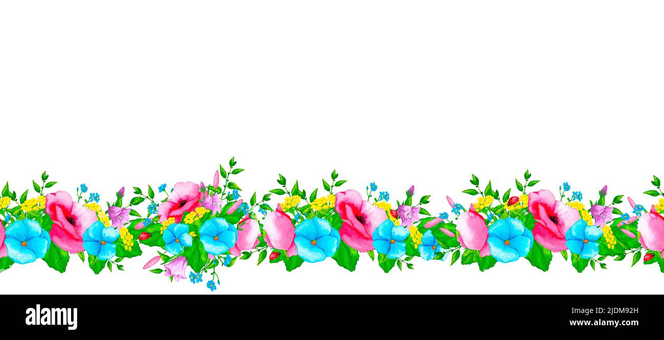 Nahtlose Grenze mit Wildblumen und wilden Kräutern. Gestaltungselement für Karten, Einladungen, Poster, Stoffdrucke, Muster, Briefpapier, Logo, Etikett. Stockfoto