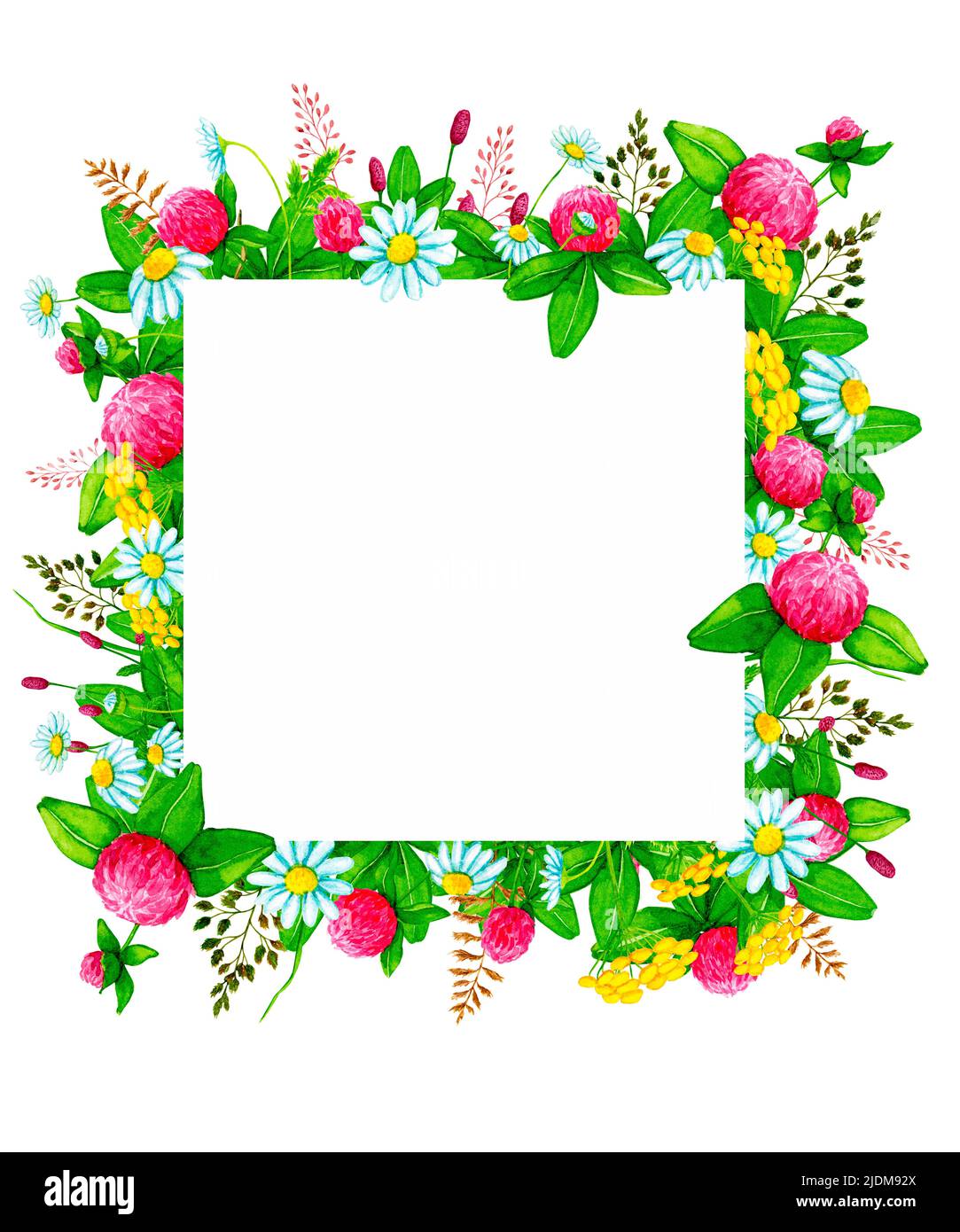 Quadratischer Rahmen mit Wildblumen und wilden Kräutern. Gestaltungselement für Karten, Einladungen, Poster, Stoffdrucke, Muster, Schreibwaren, Etiketten. Stockfoto