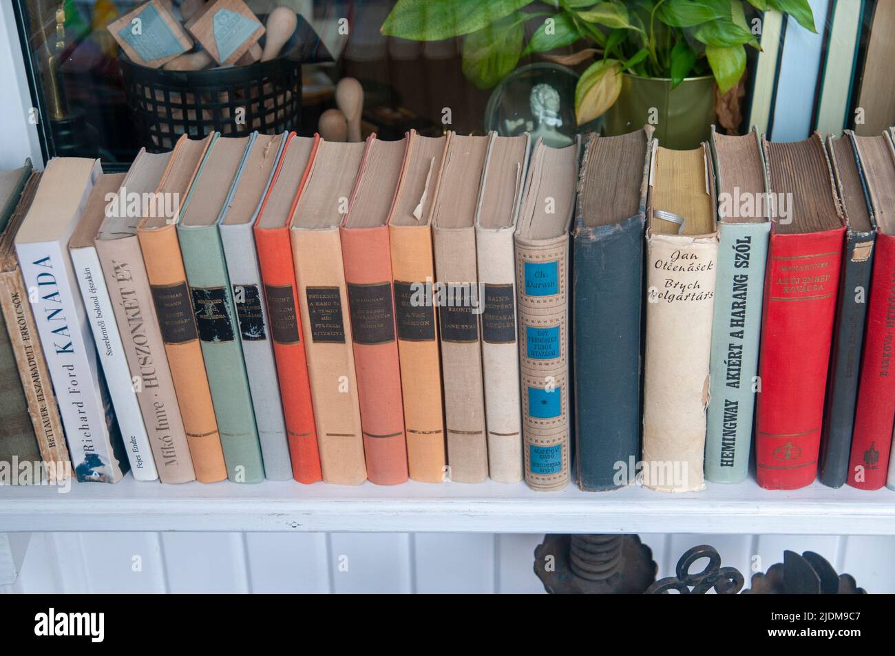 Alte ungarische Bücher in einer Buchhandlung, Budapest, hungrig Stockfoto