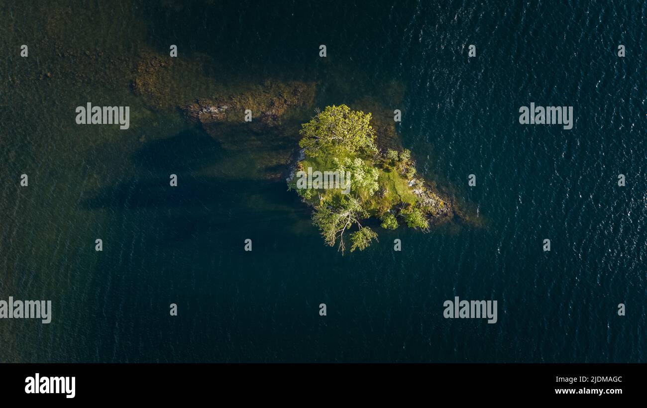 Eine Luftaufnahme eines einalleine wachsenden Baumes auf seiner eigenen Insel auf Crummock Water im Lake District, Großbritannien Stockfoto
