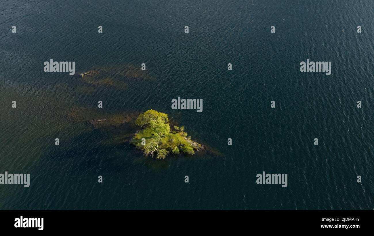 Eine Luftaufnahme eines einalleine wachsenden Baumes auf seiner eigenen Insel auf Crummock Water im Lake District, Großbritannien Stockfoto