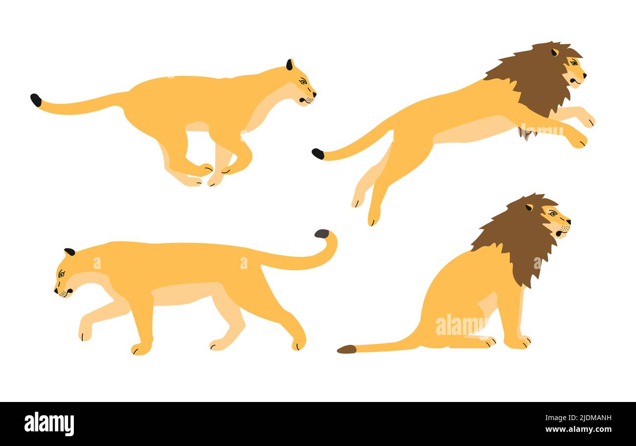 Vektor-Set von flachen Löwen isoliert auf weißem Hintergrund Stock Vektor
