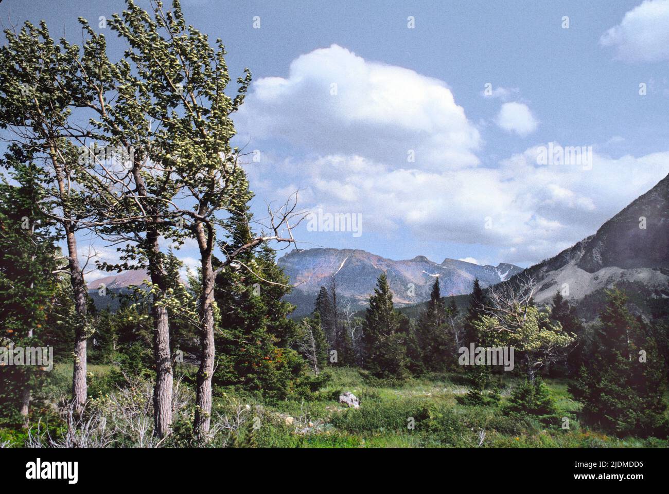 Glacier-Nationalpark, Montana. Panoramablick auf die Landschaft an einem windigen Tag. Reisen Sie durch die USA-Nationalparks. Fahren durch Amerika Stockfoto