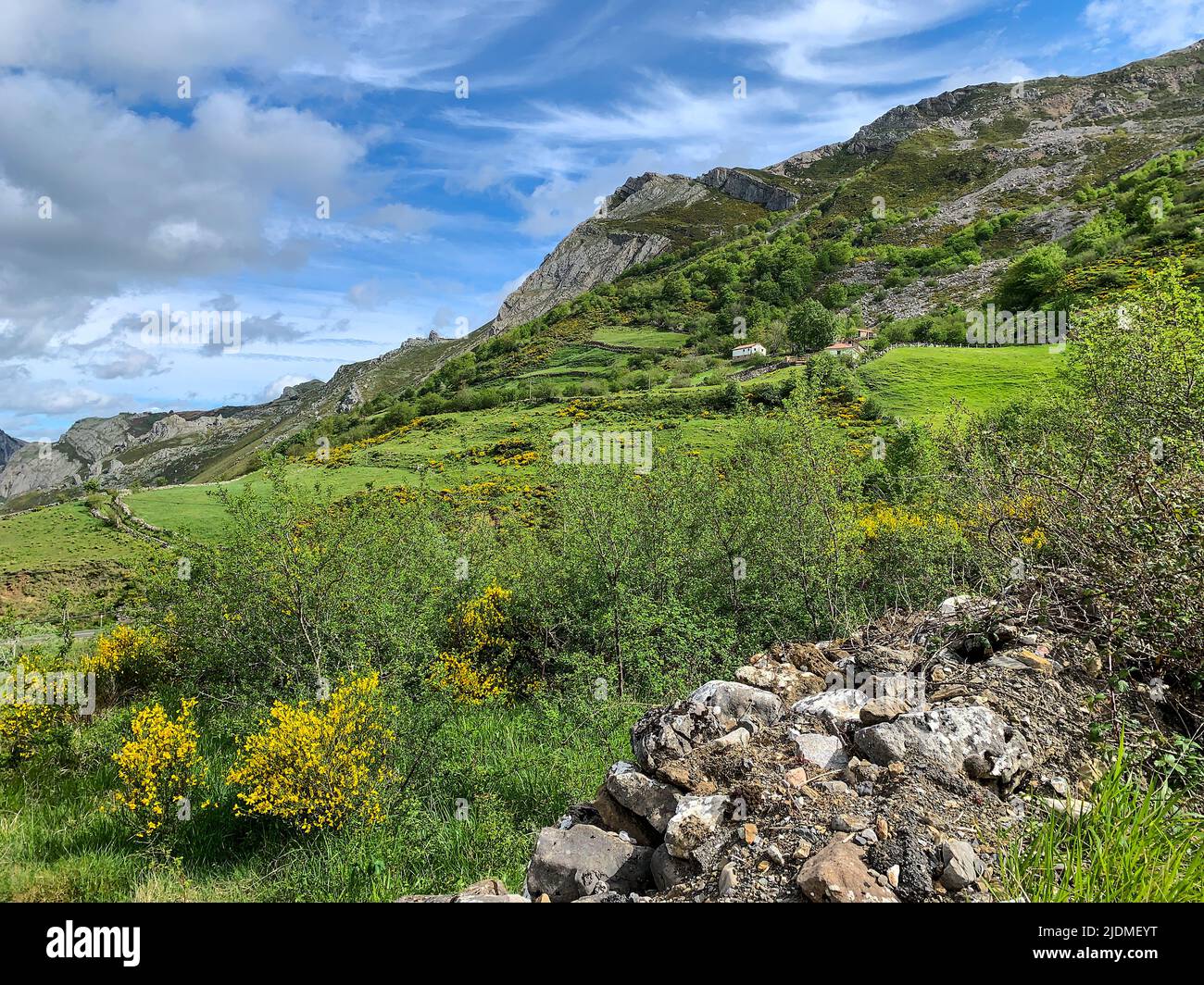 Spanien, Asturien. Panoramaaussicht auf die kantabrischen Berge, Naturpark Somiedo. Besen und Gorse wachsen an den Hängen. Stockfoto