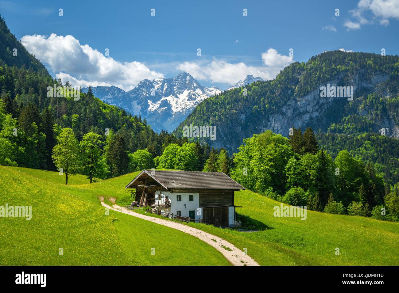 Alter traditioneller Berghof auf einer blühenden Wiese, im Hintergrund die verschneiten Loferer Steinberge, Pinzgau, Salzburger Land, Österreich, Europa Stockfoto