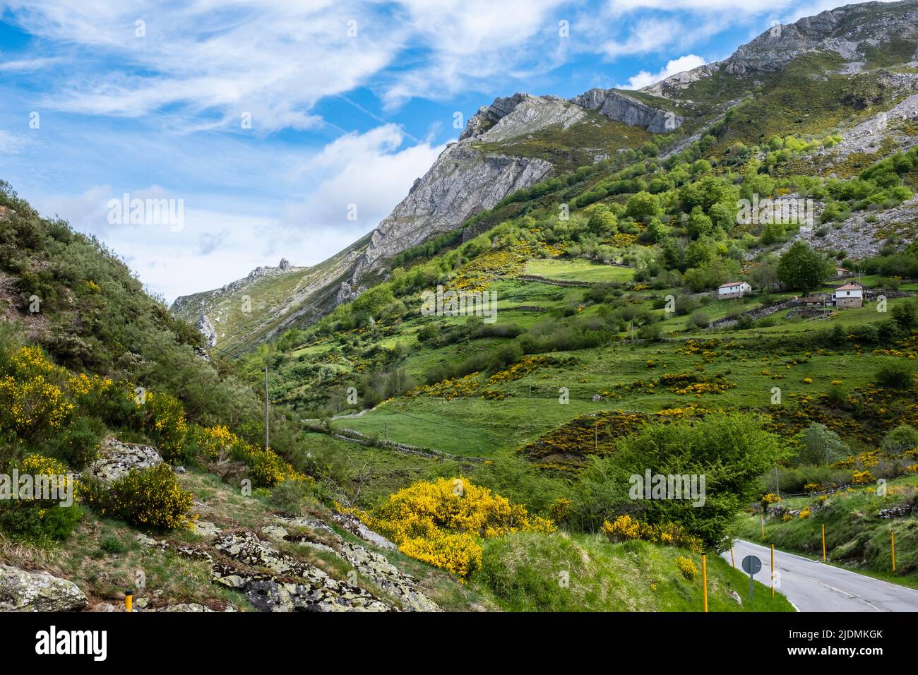 Spanien, Asturien. Die Landschaft der kantabrischen Berge nähert sich dem Naturpark Somiedo. Besen und Gorse wachsen an den Hängen. Stockfoto