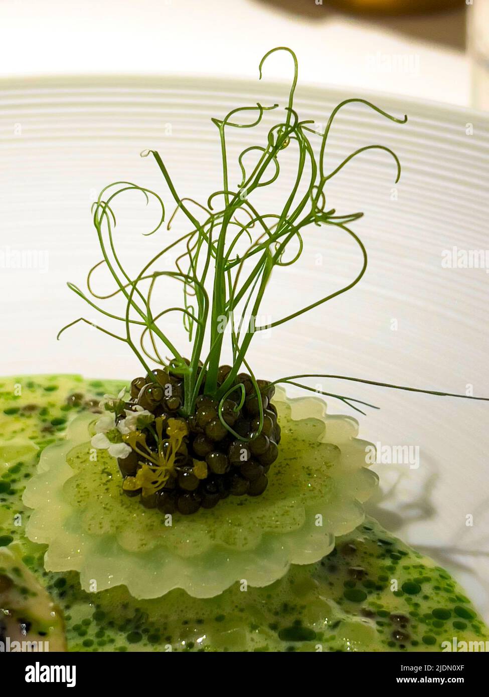 Michelin-Sterne-Restaurant Fischgerichte aus der Vorspeise-Speisekarte Stockfoto