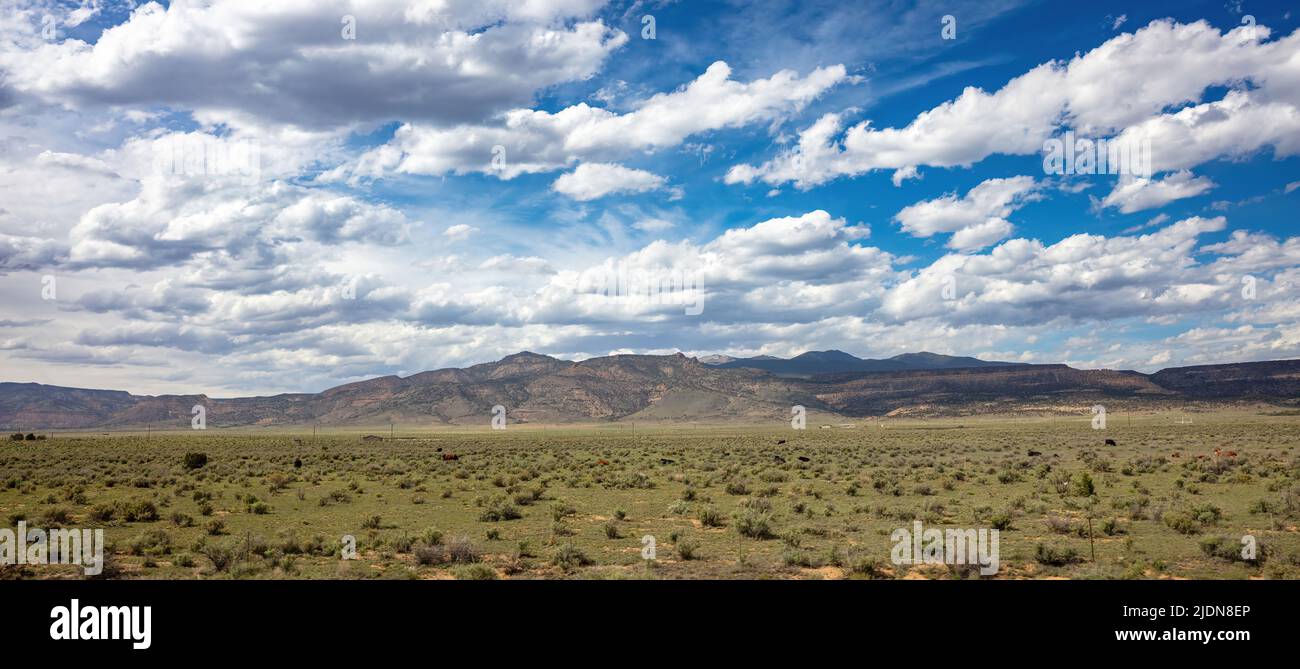 Landschaft, Wüstenland und blauer Himmel mit Wolken. Sonniger Frühlingstag in der amerikanischen Landschaft. New Mexico USA Stockfoto