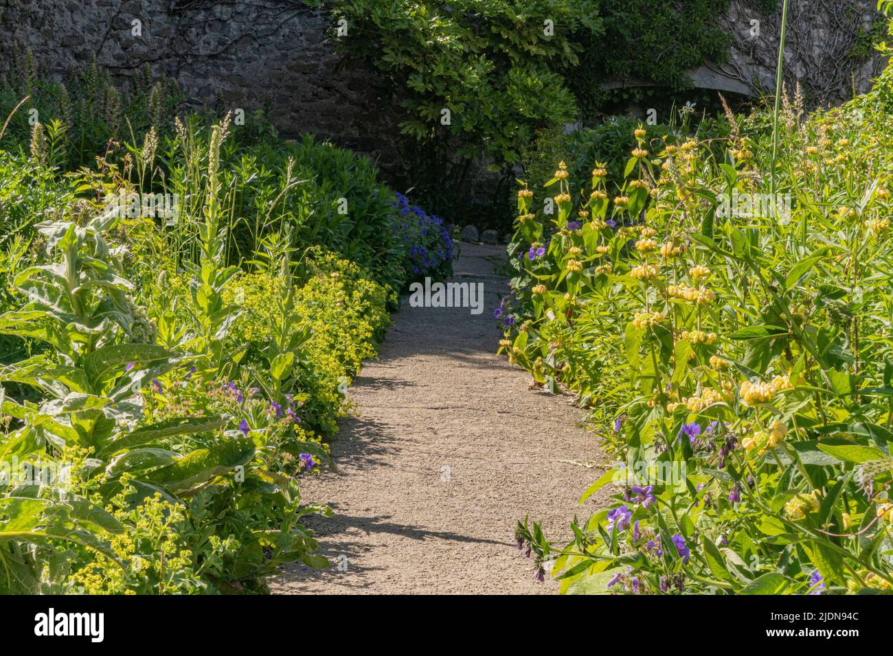 The Walled Garden im Dunraven Park, Southerndown. Bitte Kredit: Phillip Roberts Stockfoto