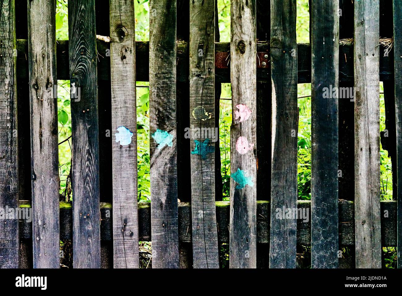 Alter rustikaler Holzzaun mit Farbflecken. Verschwommenes Foto. Stockfoto
