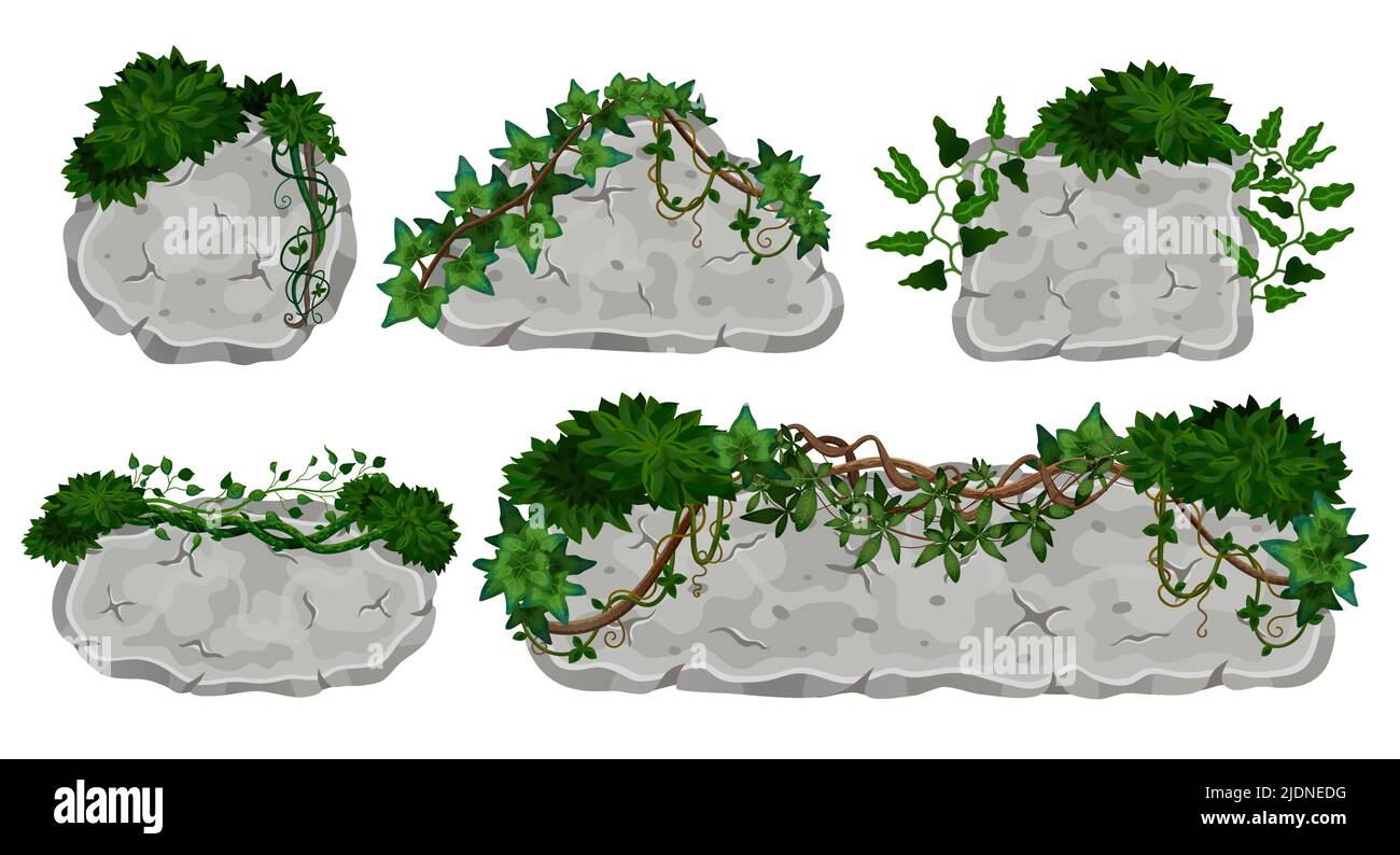 Tropische Lianen Steintafeln mit isolierten Bildern von Schildern aus Felsen mit Weinblättern Vektorgrafik gesetzt Stock Vektor