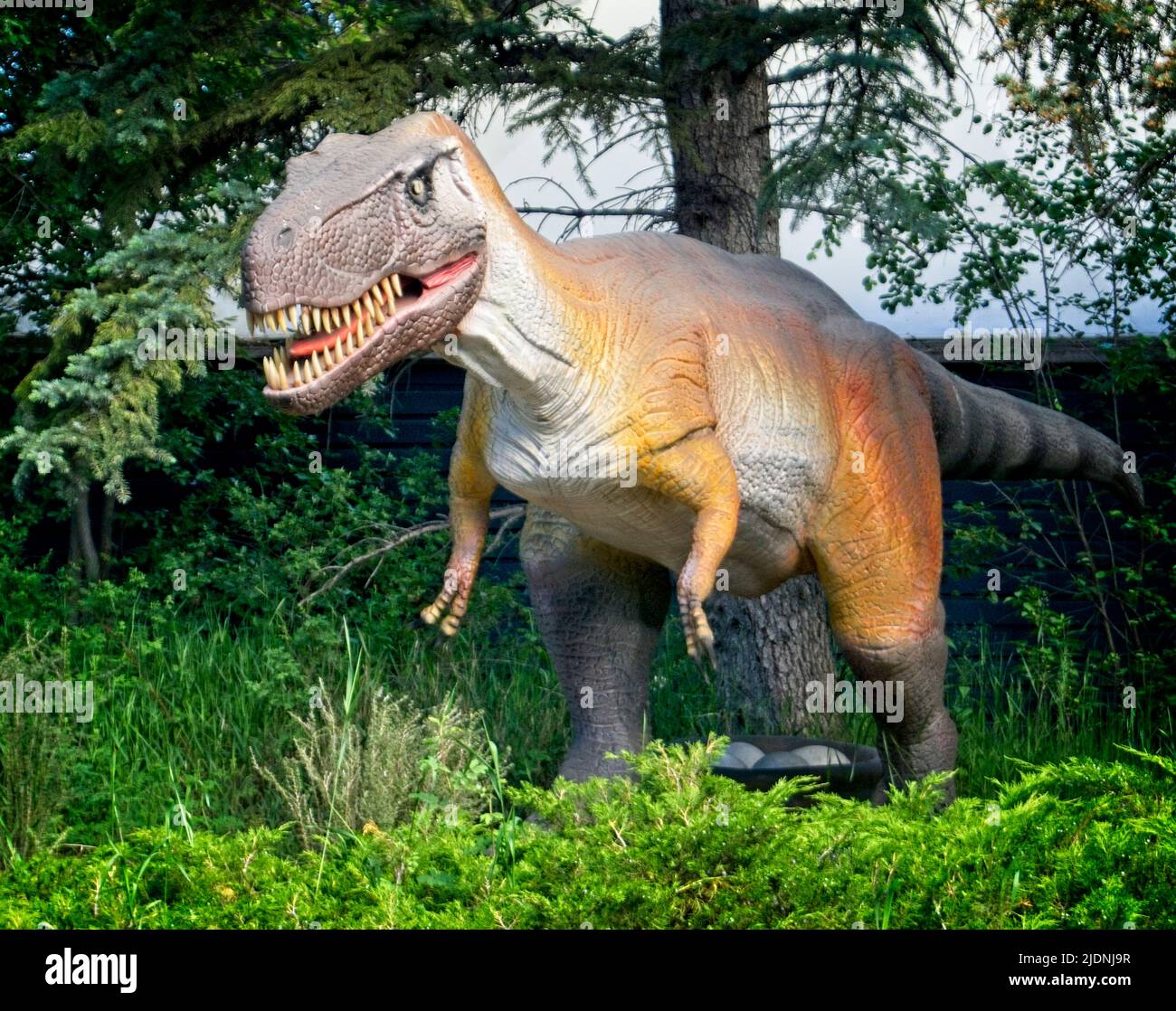 Tyrannosaurus Rex Calgary Zoo Alberta Stockfoto