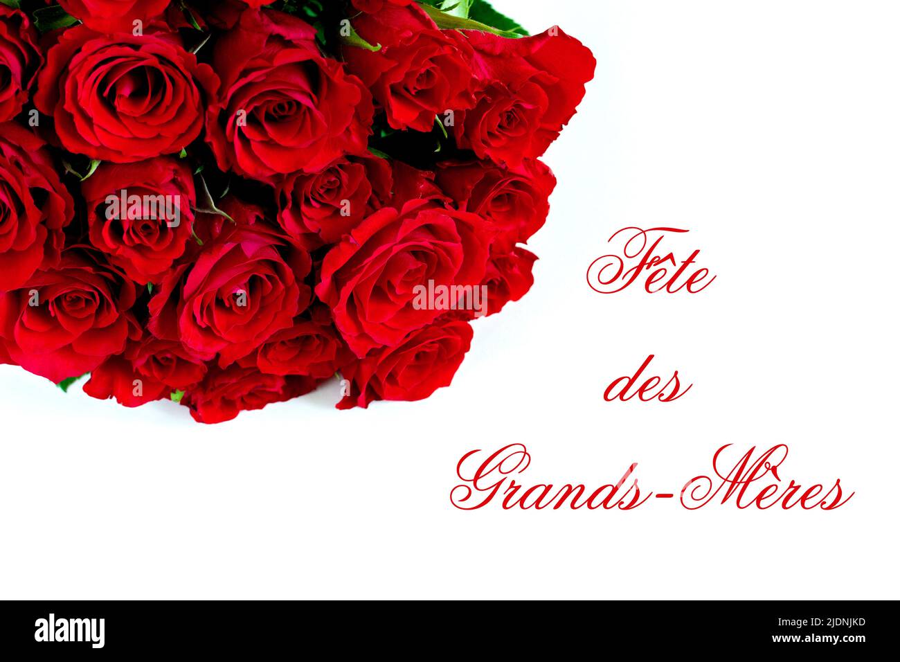 Bouquet von roten Rosen. Anmeldung Großmutters Tag. Stockfoto