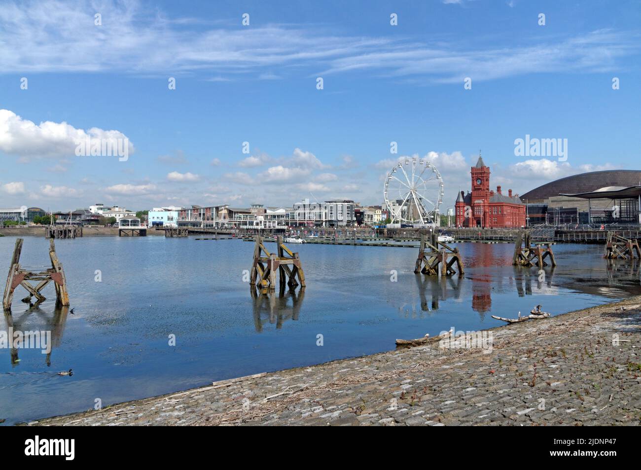 Szenen rund um die Cardiff Bay, mit Holzverankerungen oder Delfinen, Mermaid Quay und Pierhead Building und Walisisch Assembly Stockfoto