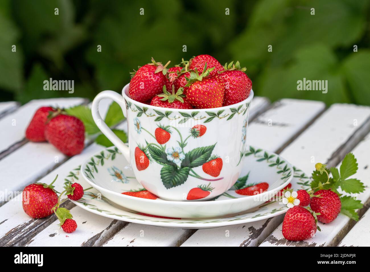 Frische Erdbeeren in Tasse mit Erdbeerornament Stockfoto